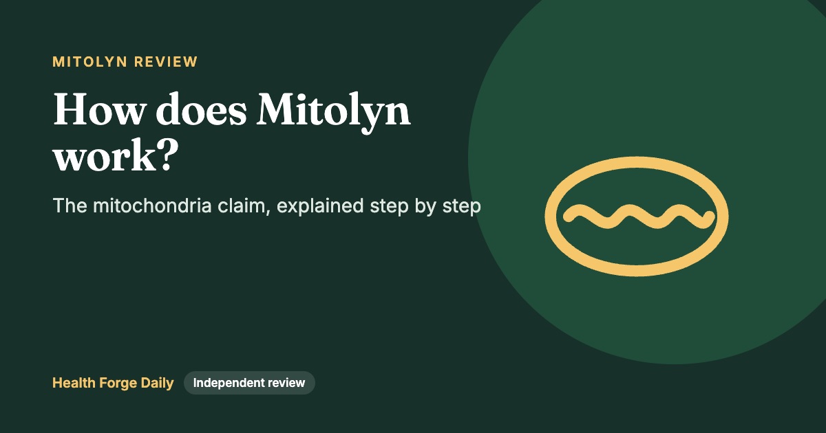 How does Mitolyn work? Independent review card from Health Forge Daily