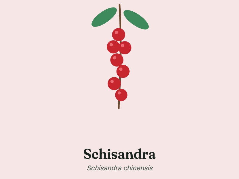 Schisandra berries, one of six ingredients listed for Mitolyn